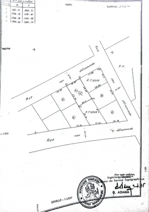 Terrain 1 lot en vente à Klikamé Catholique, Lomé – 60 millions FCFA