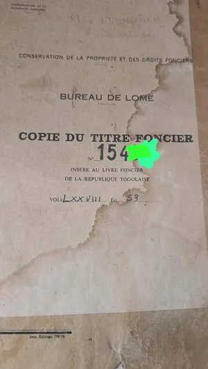 Terrain 1 lot en vente à Djidjolé avec accès goudron – 55 millions FCFA — photo 3