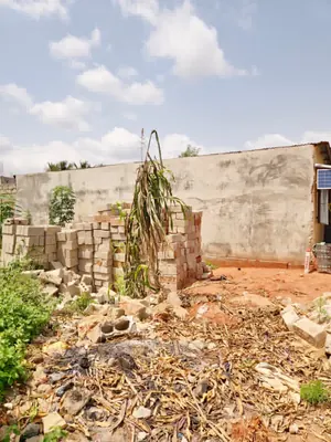 Terrain 245 m² en vente à Legbassito – 10 millions FCFA — photo 3