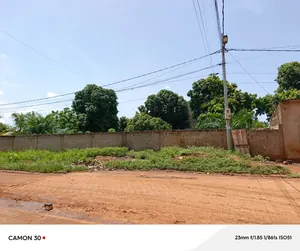 Terrain demi-lot de 300 m² à vendre proche du goudron à Camp Fir – 17 millions FCFA à débattre — photo 5