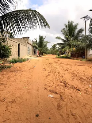 Vente d'un terrain à Agoè Legbassito Assiko, demi-lot clôturé de 291 m², près de l'église Assemblée de Dieu – 15 000 000 FCFA — photo 4