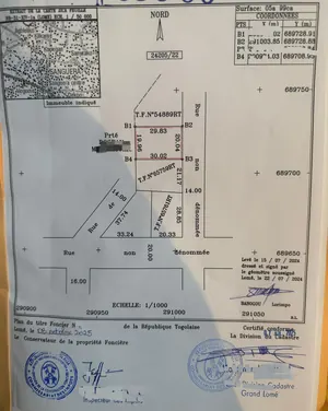 Terrain demi-lot clôturé en vente à Zanguera IPG – 14 millions FCFA — photo 2