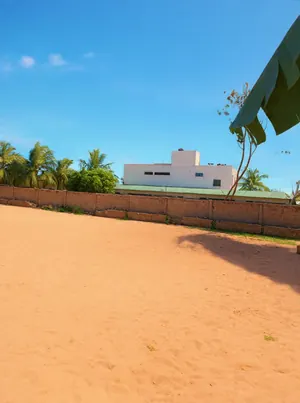Terrain 1 lot en vente à Adidogomé-Atilamonou – 26 millions FCFA — photo 2
