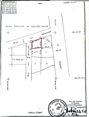 Terrain en angle de rue au bord du goudron à Novissi, Lomé – 195 millions FCFA