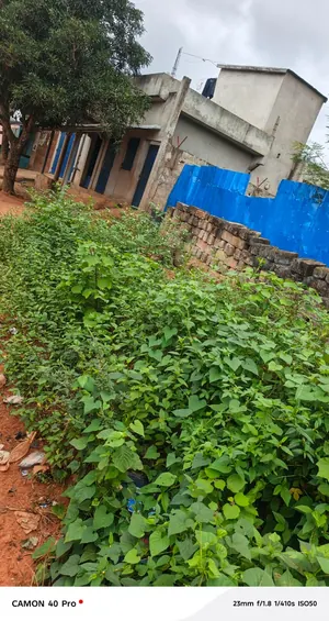 Terrain 1 lot en vente à Agoè Legbassito Zovadzin – 20 millions FCFA — photo 3