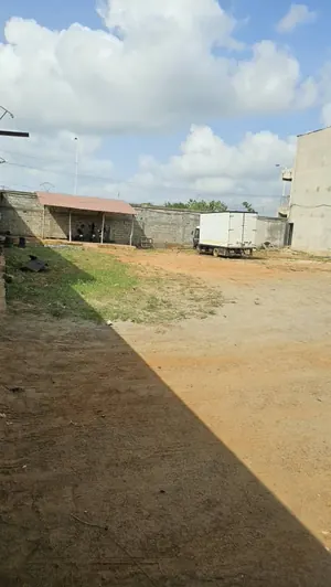 Vente de terrain à Davié Avancé Paysage, 2 lots, en bord de goudron – 75 millions FCFA — photo 5