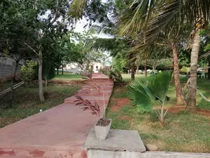 Vente d'un hôtel à Togoville, Ekpui, 12 pièces, 6 000 m² avec piscine et jardin – 480 millions FCFA — photo 3
