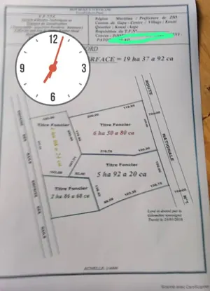 Terrain 19 hectares en vente au bord du goudron à Lilikopé – 30 millions FCFA l'hectare