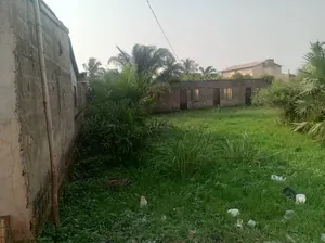 Terrain 1 lot de 600 m² à vendre à Agoè Zongo derrière le marché – 25 millions FCFA — photo 5