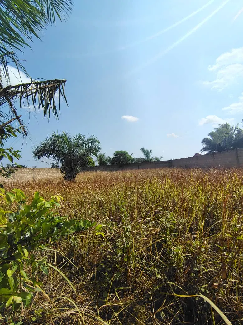 Terrain 1 lot en vente à Agoè Legbassito Zovadjin – 25 millions FCFA