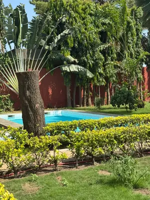 Location d'une villa à Tokoin Tako, 3 chambres + dépendance, avec piscine et jardin, à 50 m du goudron – 1 000 000 FCFA/mois — photo 5