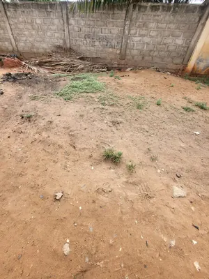 Vente d'un terrain à Avédji Léo 2000, demi-lot clôturé de 300 m², à 80 m du goudron – 25 millions FCFA — photo 3