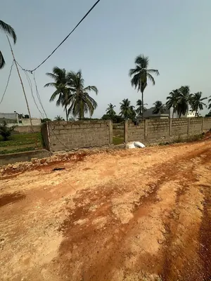 Terrain 1 lot en vente à Kpogan Agodeke plage – 25 millions FCFA — photo 5