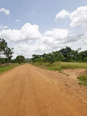 Terrain de 35 hectares en vente à Kevé Dzolo – 1 800 000 FCFA par hectare