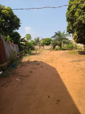 Terrain 1 lot et quart en vente à Agoe Kossigan, bord de la grande voie – 65 millions FCFA — photo 4