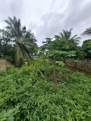 Terrain clôturé de 678 m² en vente à Ségbé, proche du goudron – 28 000 000 FCFA — photo 4