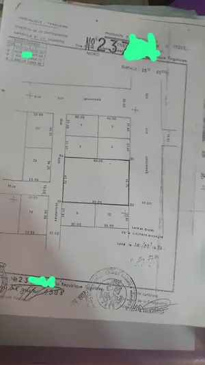 Terrain 2550 m² en vente en bordure de goudron à Davié-Tsévié – 110 millions FCFA