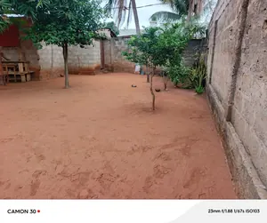 Terrain de 150 m² en vente à Agoé Carrefour Cool Caché – 10 millions FCFA — photo 2