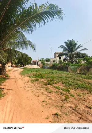 Terrain 796 m² en vente à Zanguera – 25 millions FCFA — photo 3