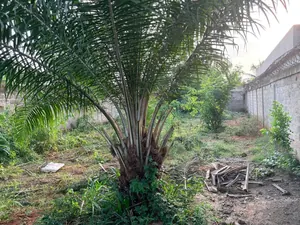 Terrain demi-lot clôturé en vente à Zanguera Gatokopé – 15 000 000 FCFA — photo 3
