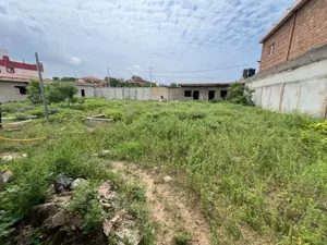 Terrain 2 lots en vente à Baguida – 150 millions FCFA — photo 2