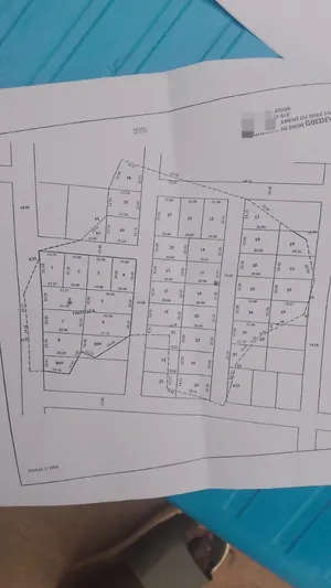 Terrain 29 lots de 17400 m² à vendre à Zanguera, proche du goudron – 13 millions FCFA le lot