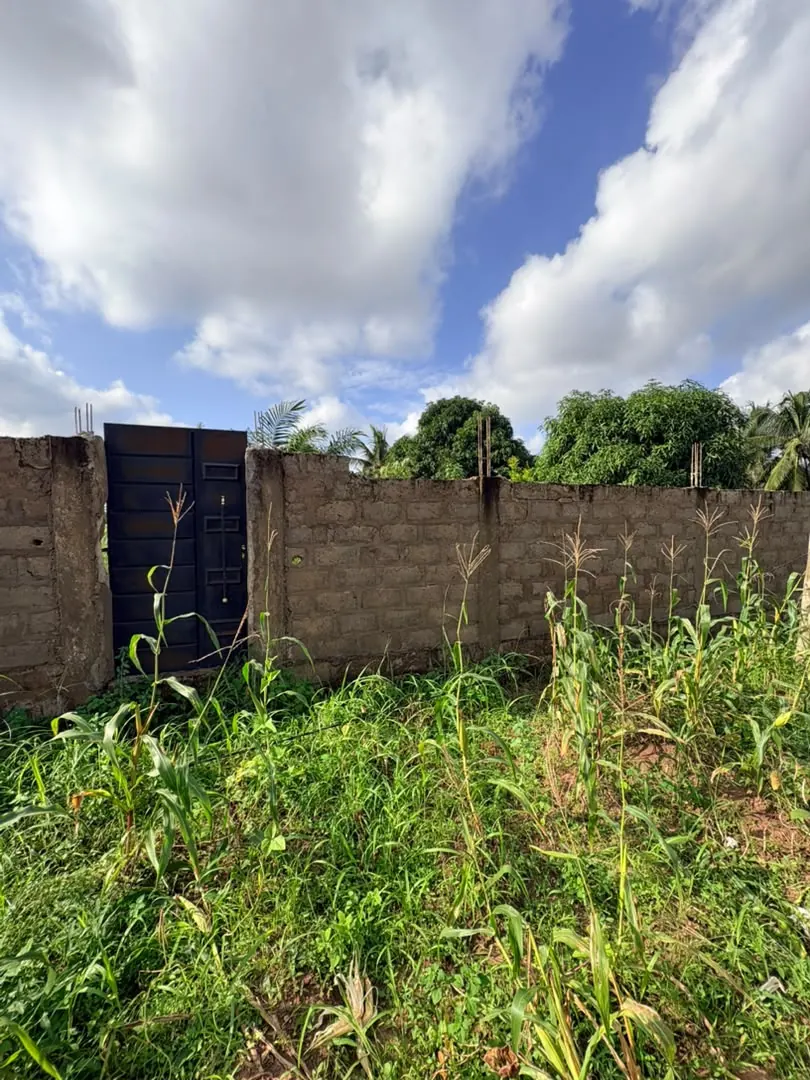 Terrain 4 lots en vente en angle de rue à Légbassito Kognito – 15 millions FCFA le lot