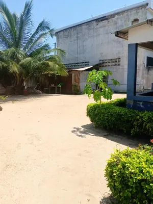 Vente d'un terrain à Tokoin Protestant, 1 lot, proche du goudron – 100 millions FCFA — photo 3
