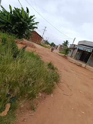 Terrain 1 lot clôturé et bâti 6 pièces en vente à Amadahomé (Hotel Stonia) – 45 millions FCFA — photo 2