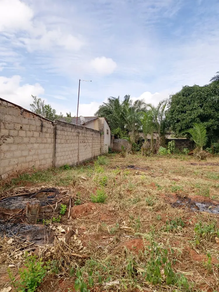 Vente d'un terrain à Agoè Logopé Carrefour Bar Épervier, demi-lot 300 m², clôturé – 15 000 000 FCFA