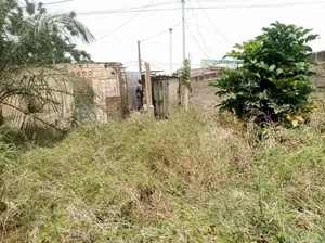 Terrain de 298 m² à vendre à Amoutivé Dékon – 130 millions FCFA