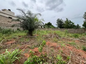Terrain clôturé 515 m² en vente à Sanguera ARS – 25 millions FCFA — photo 4
