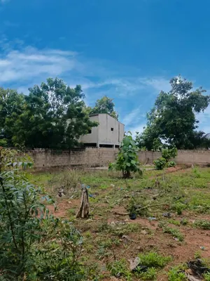 Terrain 1 lot en vente à Agoè Sogbossito – 35 millions FCFA — photo 3