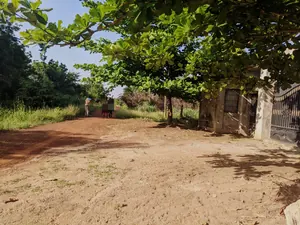 Terrain 8 lots en vente à Kévé – 3,5 millions FCFA le lot