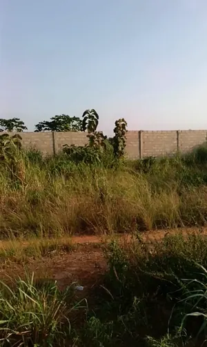 2 lots en vente en bordure de goudron à Aképé Péage – 50 millions FCFA — photo 7