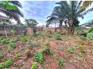Terrain 1 lot (600 m²) en vente à Agoè Logopé – 32 millions FCFA — photo 3