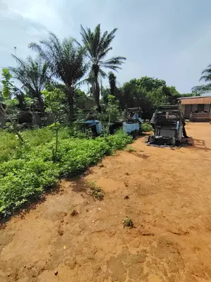 Terrain 1 lot à vendre à Agoè Camp GP – 35 millions FCFA à débattre — photo 4