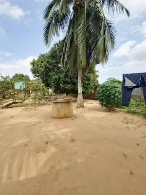 Terrain demi-lot 300 m² en vente à Légbassito Amadenta – 8 750 000 FCFA — photo 3