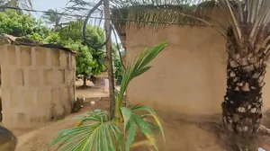 Terrain demi-lot en vente à Adetikopé Pia à 100 m de la Nationale 1 – 10 millions FCFA