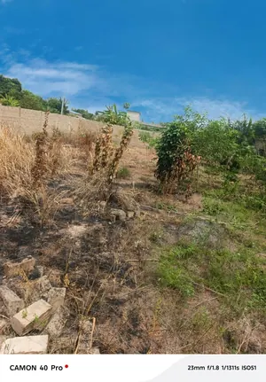 Terrain 1 lot en vente à Zanguera Digbé – 17 millions FCFA — photo 3