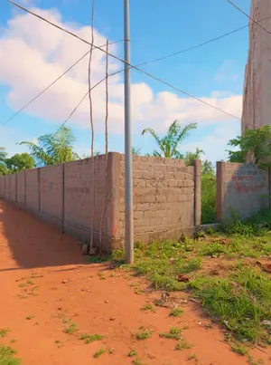 Terrain 1 lot en vente en bordure de rue de 16 m à Sagbado Gbomame – 22 000 000 FCFA — photo 3