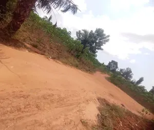 Terrain à vendre à Akato Viepé – 6 millions FCFA — photo 2