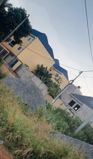 Vente d'un terrain à Apéssito, demi-lot (15×20m), proche du goudron – 8 millions FCFA négociable — photo 2