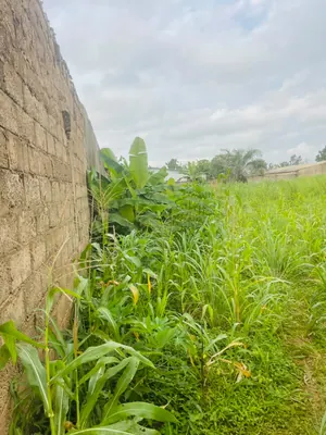 Terrain 1 lot en vente avec accès direct au goudron à Davié Mondji, Tsévié – 6 millions FCFA — photo 2