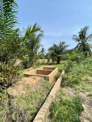 Terrain demi-lot en vente à Zanguéra Atidjin Jerusalem – 7,5 millions FCFA — photo 5