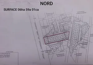 Terrain 20 lots à vendre en bordure de goudron RN1 à Tsévié Kpali Gové – 10 millions FCFA l'unité