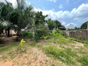 Terrain 750 m² en vente à Totsi – 60 millions FCFA