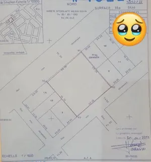 Terrain 1229 m² en vente en angle de rue à Agoè Anomé, à 50m du goudron – 160 millions FCFA — photo 4