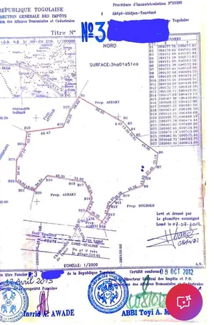 2 lots de terrain en vente au bord du goudron à Djagblé – 79 000 000 FCFA — photo 3