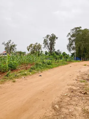 Terrain 5 lots 2996 m² en vente à Sanguéra Marché, angle de rue, à 150 m du goudron – à partir de 25 000 000 FCFA le lot — photo 2